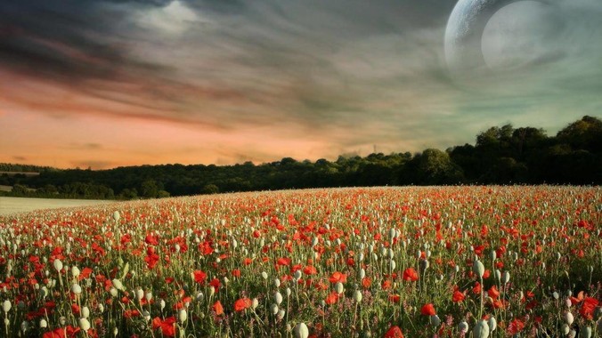 信息产业部公共互联网应急处理福建省服务试点单位